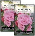 Sow Right Seeds - Double Flower Mixed Hollyhock Seeds for Planting - Non-GMO Heirloom Packet with Instructions to Plant an Outdoor Cottage Garden - Tall Ruffled Mix of Pink, Yellow, Red & White (2)