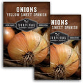 Yellow Sweet Spanish Onion Seeds for Planting – Large Mild Long Day Yellow Onions with High Yield & Sweet Flavor – Heirloom, Non-GMO, Open-Pollinated – Survival Garden Seeds (2 Packs)