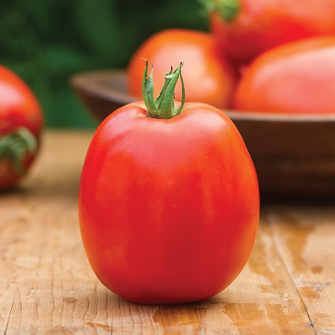 Burpee 'SuperSauce Hybrid' Tomato Seeds for Planting - Non-GMO, Indeterminate, Disease-Resistant, Paste Tomato, Burpee Bred, 50 mg Seed Packet for Home Gardening - World's Largest Sauce Tomato!