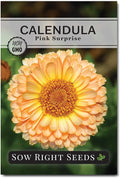 Sow Right Seeds - Pink Surprise Calendula Seeds for Planting - Gorgeous Garden Flowers - Guaranteed to Grow - Non-GMO Heirloom Variety - Ideal for Outdoor Gardening and Pollinator Attraction (1)