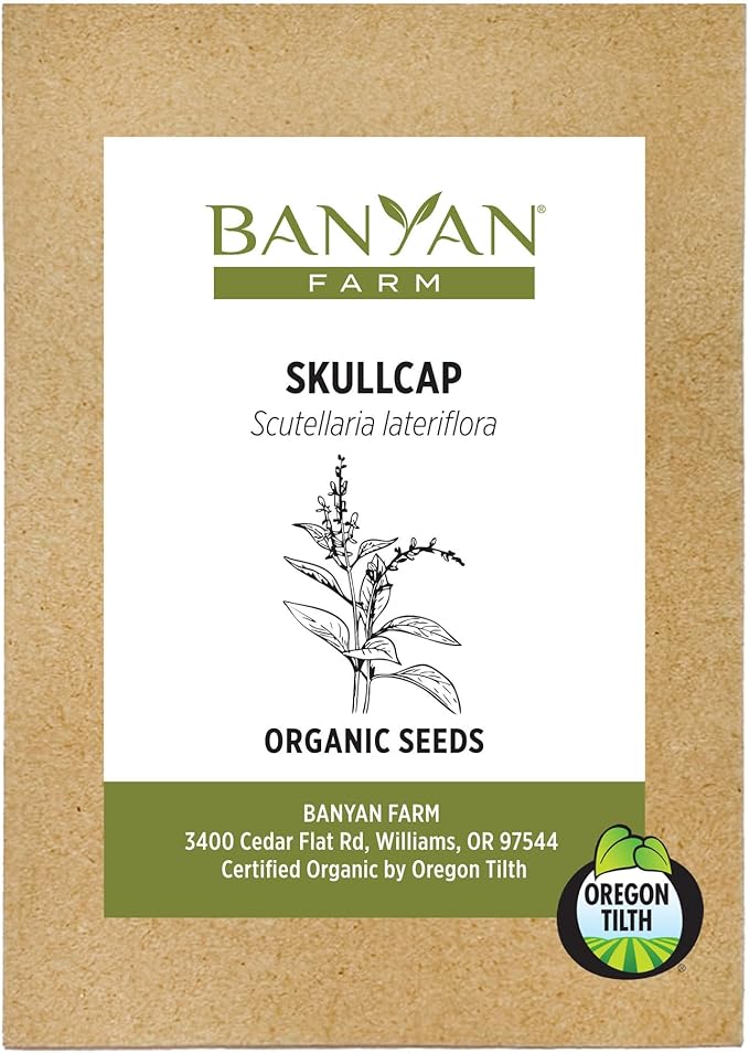 Banyan Botanicals Organic Skullcap Seeds – Skutellaria Lateriflora – Soothing Herb That is Quick-Growing and Low-Maintenance Herb – 50 Count – Open Pollinated Non-GMO Easy-to-Grow