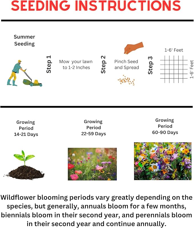 Beneficial Bug Wildflower Mix (1oz) Sprinkle a Little Magic—Our Shade, Perennial, Hummingbird, Deer-Resistant, and Other mixes Bring Vibrant Color and pollinator Joy to Any Space.