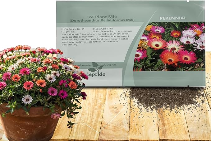 Outsidepride Mix Ice Plant Seeds - 10000 Pcs Perennial, Drought Tolerant Ground Cover Seeds for Planting Vibrant Trailing Blooms, Ideal for Sunny Gardens & Xeriscape Landscaping