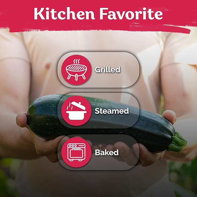 KVITER 50 Black Beauty Zucchini Summer Squash (Cucurbita Pepo) Seeds – High-Yielding Heirloom for Gardens and Beds – Dark Green Fruits, Tender Flesh, Excellent for Cooking