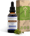 Secrets of the Tribe Mistletoe Tincture Alcohol-Free Extract, High-Potency Herbal Drops, Tincture Made from Mistletoe (Viscum Album) Dried Herb 2 oz