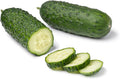 50 Marketmore 76 Cucumber Seeds for Planting - Heirloom, Non-GMO, USA Grown, Cucumis Sativus by RDR Seeds