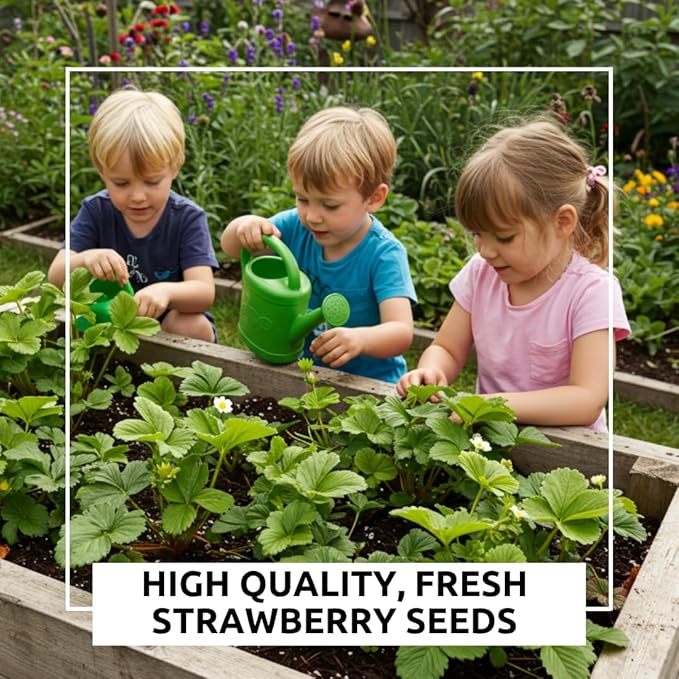 Berry Bliss Vegetable Garden Seeds – Heirloom Red Strawberry Variety – Vibrant, Flavorful, Easy-to-Grow Vegetables for Fresh Salads, Cooking & Home Garden Fun