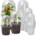 MIXC Clear Nursery Pots with Humidity Domes, 5/4/3.5 Inch Reinforced Transparent Plastic Pots for Planting with Drainage Holes for Seedlings, 30 Pack