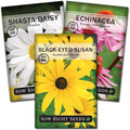 Sow Right Seeds - Perennial Three Flower Garden Seed Collection for Planting - Black-Eyed Susan, Shasta Daisy, Purple Coneflower - Non-GMO Heirloom Packets Home Gardening - Attract Local Pollinators