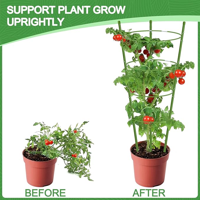 KLS 3 Pack Tomato Cage for Pots Plant Support, 48 Inches Tomato Cages for Garden Cucumber Trellis for Raised Bed, Pepper Cage Trellis Kit with Plant Tie and Clips (48")