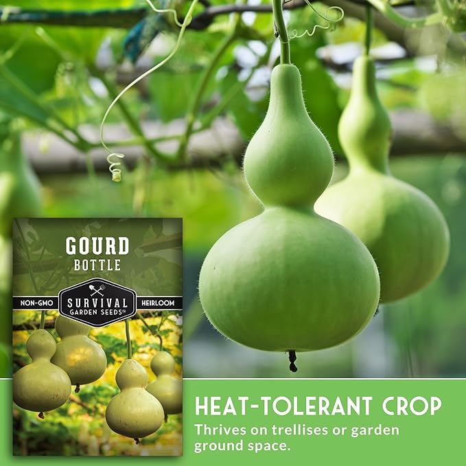 Bottle Gourd Seed for Planting - 5 Packets with Instructions to Plant & Grow Birdhouse or Calabash Gourds in Your Home Vegetable Garden - Non-GMO Heirloom Variety - Survival Garden Seeds