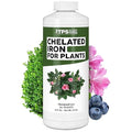 Chelated Iron for Plants – Liquid Iron Supplement for Greener Leaves, Improved Chlorophyll Production & Reduced Yellowing, 32 oz