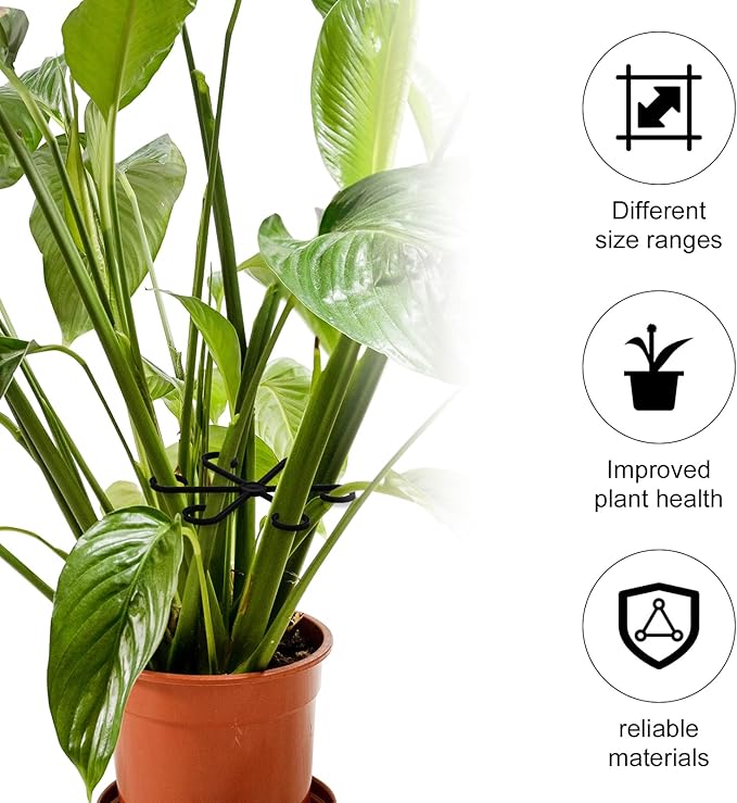4pcs Plant Stem Supports, Plastic Houseplant Climbing Holders Stabilizer Reusable Small Climbers Flower Plant Stakes Trellis Stem Hook Growth Accessories for Indoor Monstera (Black)