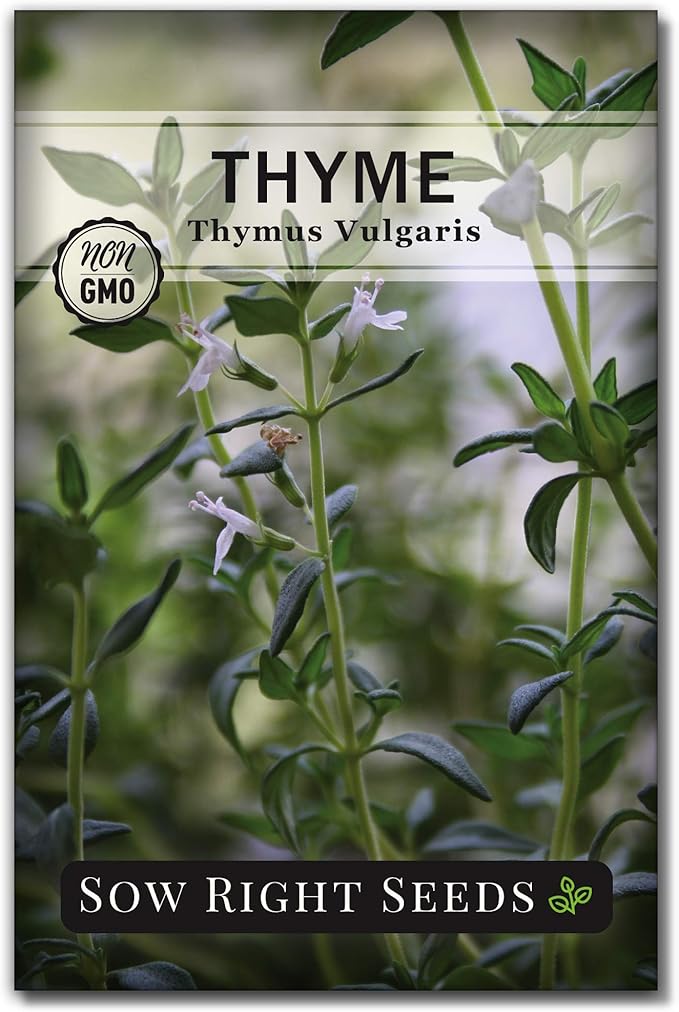 Sow Right Seeds - Thyme Seed for Planting - Non-GMO Heirloom Packet with Instructions for Easy Planting Your Kitchen Herb Garden - Indoor or Outdoor - Great for Hydroponics Growing - Culinary Herb (1)