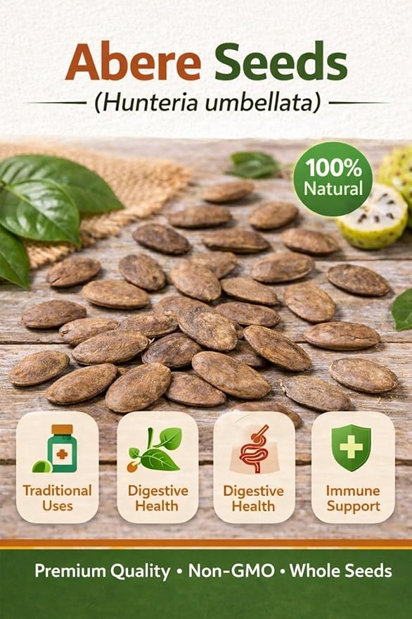 Hunteria Umbellata Seeds (Abere) – 20 Premium African Medicinal Plant Seeds – Natural Herbal Tree Seeds for Home Gardening & Traditional Use