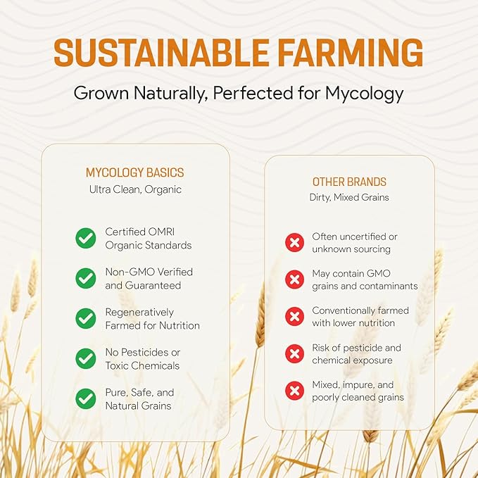 Bulk Rye Berries - Certified 100% Organic - Extra Clean - Great for Mushroom Spawn, Cooking, Brewing & Distilling - Triple Washed, non-GMO and in Resealable Bag - by Mycology Basics (2.0 lbs)