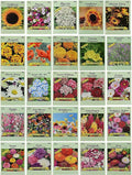 25 Slightly Assorted Flower Seeds! – Great for Bees, Birds, and Butterflies! – Includes 10+ Varieties of USA Grown & Non-GMO Seeds! – May Include Forget-Me-Nots, Marigolds, Wildflowers, and More
