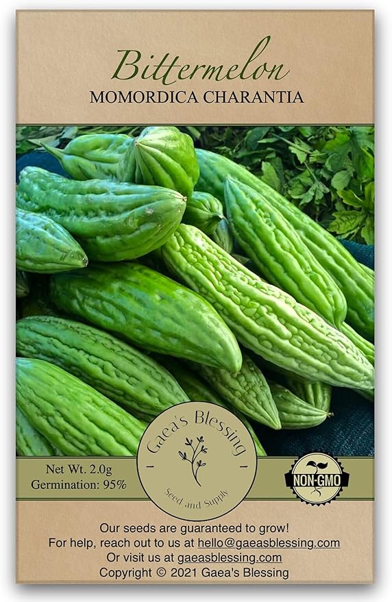 Gaea's Blessing Seeds - Bitter Melon Seeds - Bitter Gourd Heirloom Non-GMO Bittermelon Seeds with Easy to Follow Planting Instructions - 92% Germination Rate (Pack of 1)