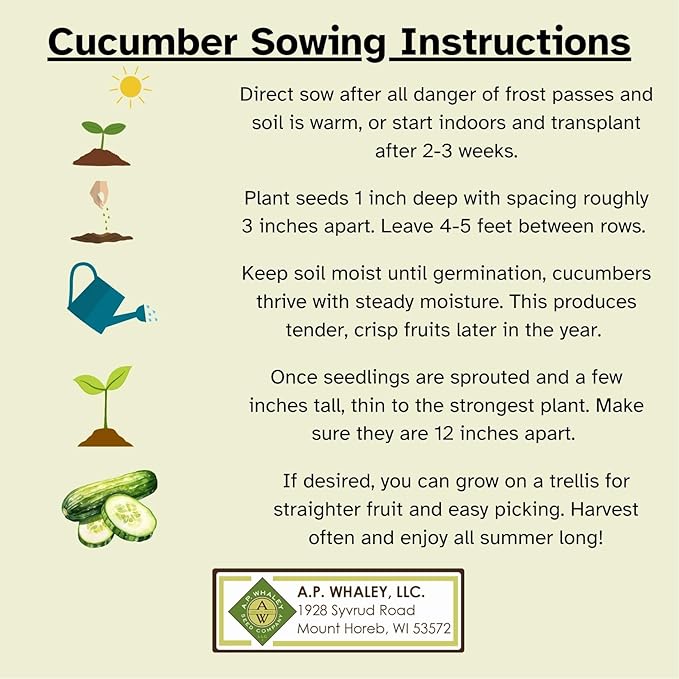 Early Fortune Cucumber | Organic Bulk Seed Pack (1 oz.) | Heirloom, Non-GMO Seed | Commercial Quality