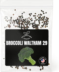 Fall & Winter Broccoli Seeds for Indoor & Outdoor Planting – 300+ Non-GMO Heirloom USA-Grown Tender Heads & Florets, High Germination (Brassica oleracea VAR. Italica)