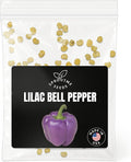 Fall & Winter Lilac Bell Pepper Seeds for Indoor Planting – 50 Non-GMO Heirloom USA-Grown Sweet Purple Beauty Bell Seeds with High Germination (Capsicum annuum)