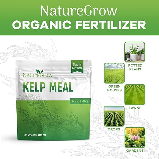 Kelp Meal1-0-2 Natural Plant Food, Boost Plant Health and Yield! (6lb)