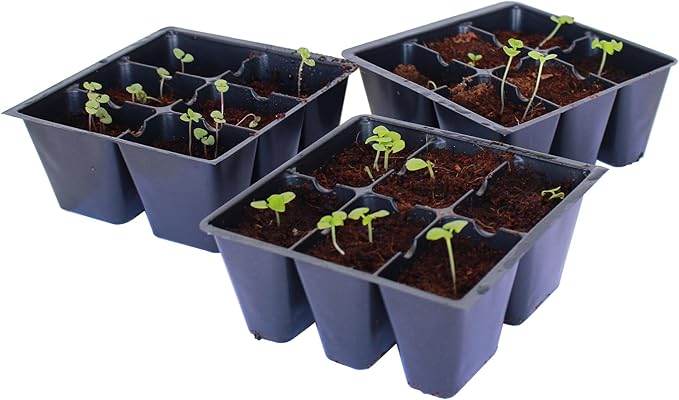 Handy Pantry Black Plastic Garden Tray Inserts - 5 Sheet of 48 Planting Pot Cells Each - 2x3 Nested x8 Configuration - Perforated - Nursery, Greenhouse, Gardening