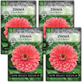Sow Right Seeds - Zinnia Coral Flower Seeds for Planting - Beautiful Flowers to Plant in Your Garden - Non-GMO Heirloom Seeds - Vibrant Colored Variety - Attract Pollinators - Giant Cut Flower (4)