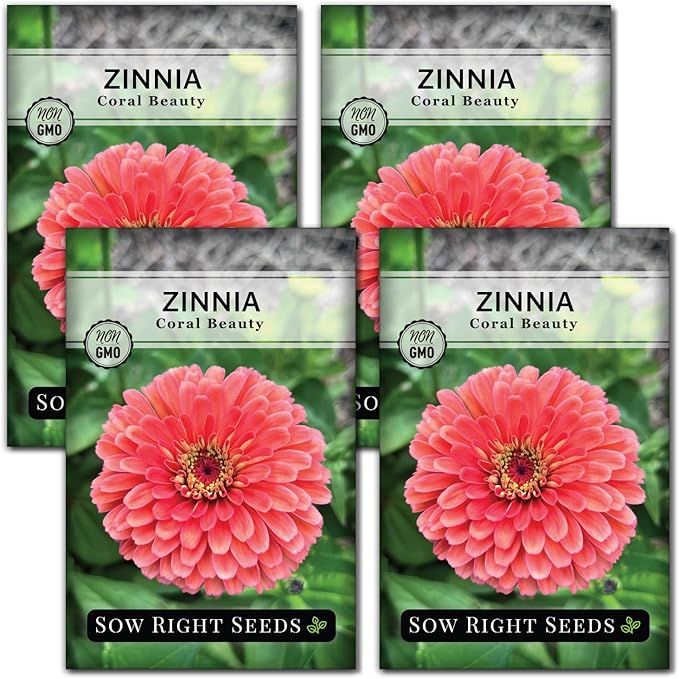 Sow Right Seeds - Zinnia Coral Flower Seeds for Planting - Beautiful Flowers to Plant in Your Garden - Non-GMO Heirloom Seeds - Vibrant Colored Variety - Attract Pollinators - Giant Cut Flower (4)