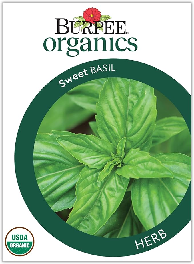 Burpee Organic Sweet Basil Seeds - All-Purpose Fragrant Culinary Herb