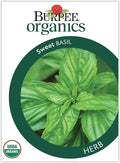 Burpee Organic Sweet Basil Seeds - All-Purpose Fragrant Culinary Herb