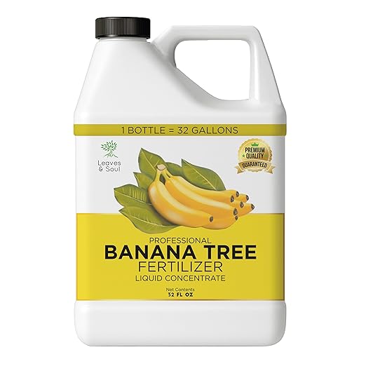 Leaves and Soul Professional Banana Tree Fertilizer Liquid Concentrate - 6-4-6 Blend for Fruit Tree Fertilizer, Garden - Liquid Plant Food for Banana Trees in Pots or Outdoors - 32oz