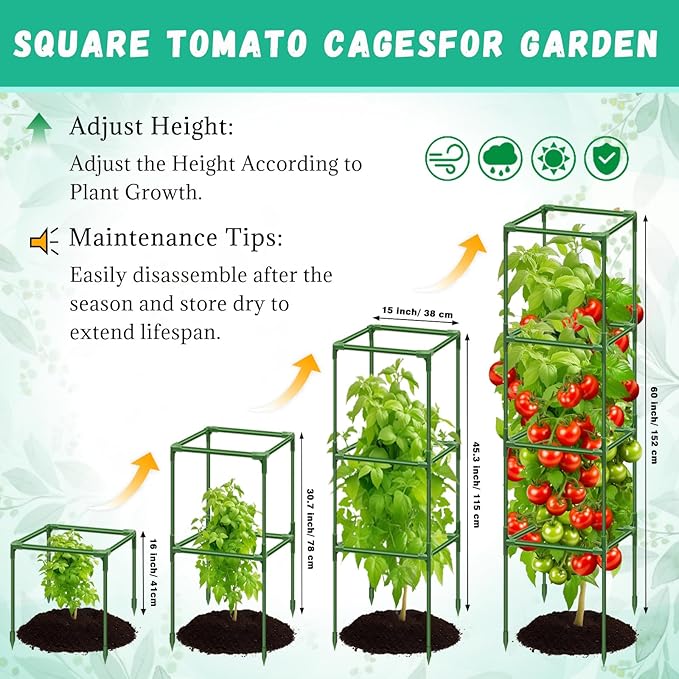 Riare 6 Pack Square Tomato Cages for Garden Plant Support- Up to 60 Inch Tomato Cage Garden Stakes Tomato Trellis for Potted Plants Raised Garden Bed Climbing Vegetables Flowers Outdoor Indoor