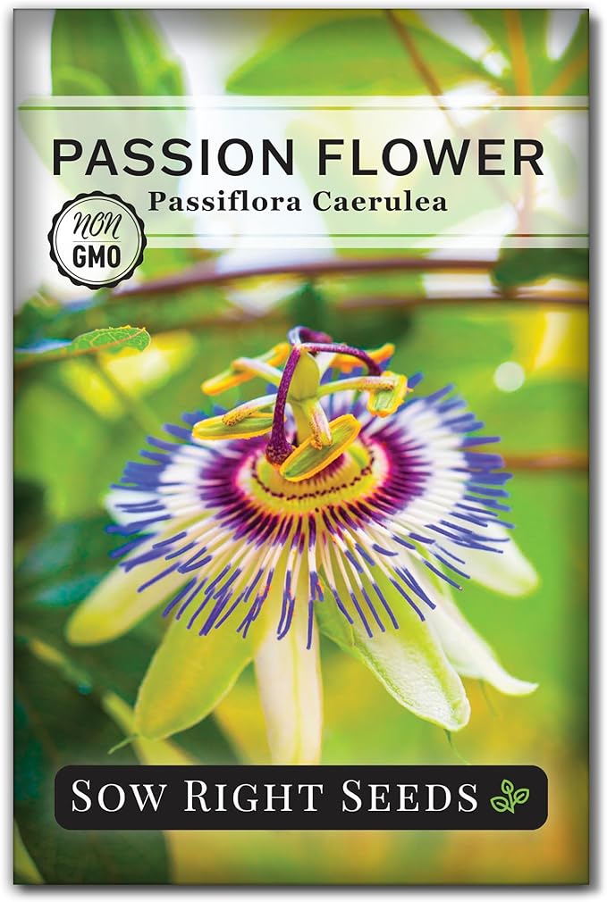 Sow Right Seeds - Passion Flower (Passiflora caerulea) Seeds for Planting - Beautiful Flowers to Plant in Your Garden - Non-GMO Heirloom Seeds - Exotic and Colorful Blooms - Attract Pollinators