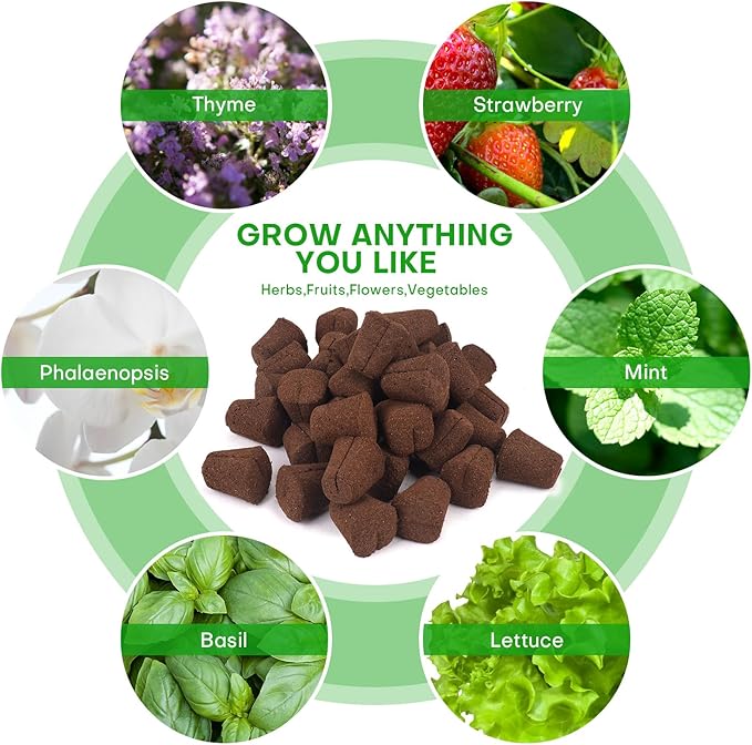 40 Pcs Grow Sponges with Tray, Starter Plugs for Cuttings, Great for Soil, Tray or Planting Pods Plant Rooter, Promotes Herbs, Vegetables and Flowers Growth