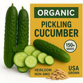 Over 150 Pickling Cucumber Seeds – Organic Heirloom, Non-GMO, High Germination Rate – Perfect for Planting in Home Gardens & Fresh Pickles
