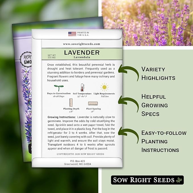 Sow Right Seeds - English Lavender Seeds for Planting - Non-GMO Heirloom Packet with Instructions to Grow Beautiful Indoor or Outdoor Herb Garden - Attract Pollinators - Perennial Purple Blooms (1)