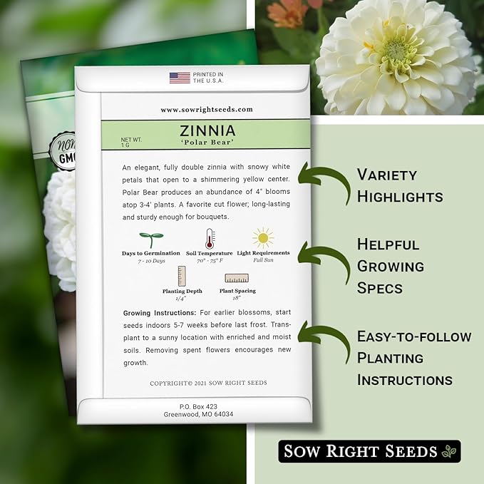 Sow Right Seeds - Zinnia Polar Bear Flower Seeds for Planting - Beautiful Flowers to Plant in Your Home Garden - Non-GMO Heirloom Packet - White Blooms Attract Pollinators - Cut and Come Again (3)