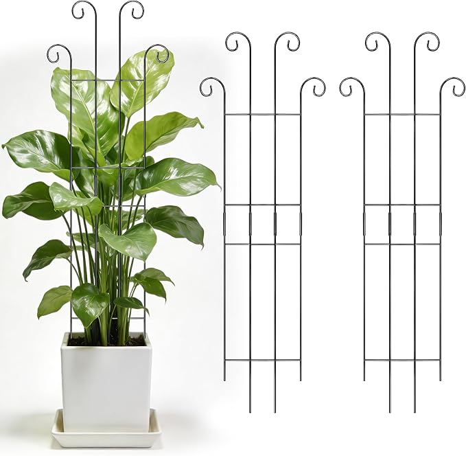 3 Set Tall Trellis for Potted Plants Indoor, 32'' Expandable Garden Metal Trellis for Climbing Plants Outdoor, Monstera Plant Support for Hoya, Vine, Ivy Pothos (Black)