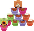 BUZZY Seeds Terracotta Mini Grow Pots, Flower Starter Kit, Assorted 12-Pack, Bright Series Collection Daisy, Lavender, Mini Rose, Sunflower Seeds, Gardening Gift, Party Favors, Weddings, Showers
