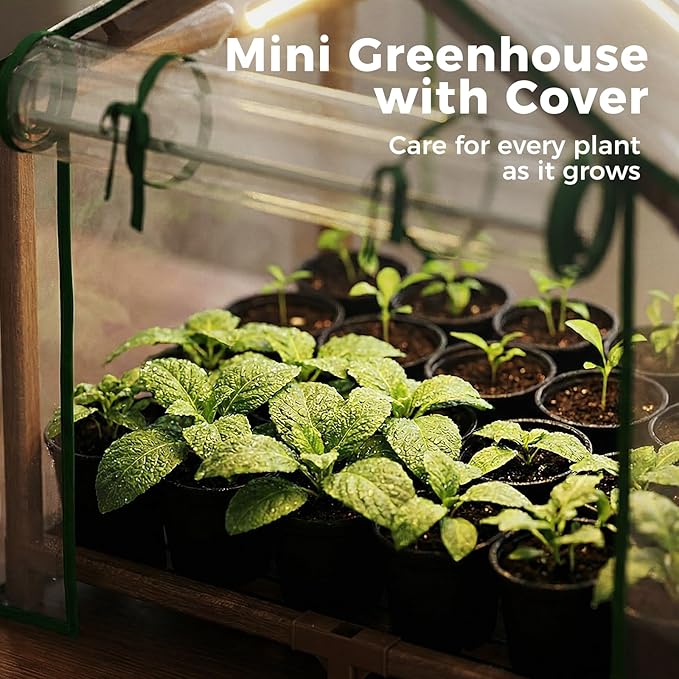 Leaf&Lull Mini Greenhouse Indoor Desktop with Grow Lights Small Grow Tent Reusable Portable Warm House with PE Cover Ventilation Window for Seed Starting&Plant Growth