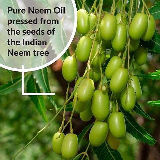 SUPERthrive Neem Oil Fertilizer - Natural Leaf Care for Plants - 8 Fl Oz