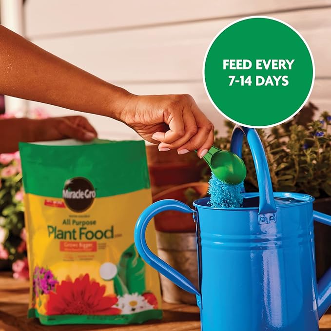 Miracle-Gro Water Soluble All Purpose Plant Food - Fertilizer For All Indoor or Outdoor Plants including Roses, Flowers, Vegetables, Houseplants, Trees, and Shrubs, 5.5 lbs. (2-Pack)