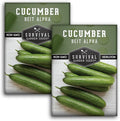 Beit Alpha Cucumber Seeds for Planting | Crisp Burpless Variety with Smooth Skin – Heirloom, Non‑GMO – Survival Garden Seeds (2 Packs)