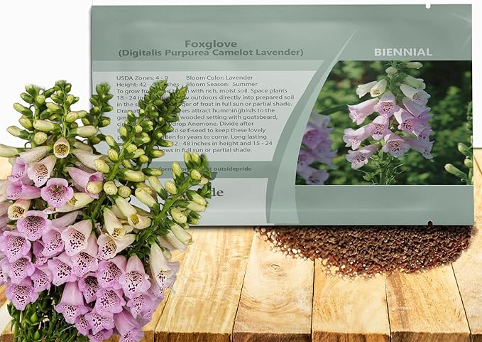 Outsidepride Digitalis Purpurea Camelot Lavender Foxglove Seeds – 50 Pcs Biennial, Prolific, Tall Growing Flower Seeds with Pollinator-Friendly Blooms for Shaded Gardens & Outdoor Landscapes
