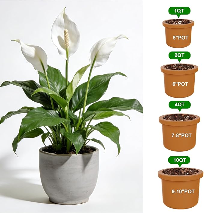 Premium Peace Lily Potting Soil 2qt– All Natural, Well-Draining & Breathable Soil for Peace Lily & Indoor Plants