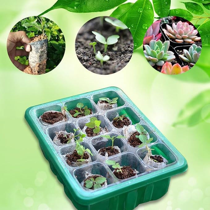 Starter Kit Tray with Grow Light, Adjustable Humidity Drainage, 6Pack Germination with Transparent Domes for Vegetables, Succulent Plant seedlings,Starting Greenhouse[Energy Efficiency Class A+++]