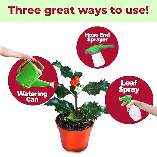 Holly Fertilizer – Liquid Plant Food for Deep Green Leaves, Dense Growth & Strong Roots, 1 Gallon