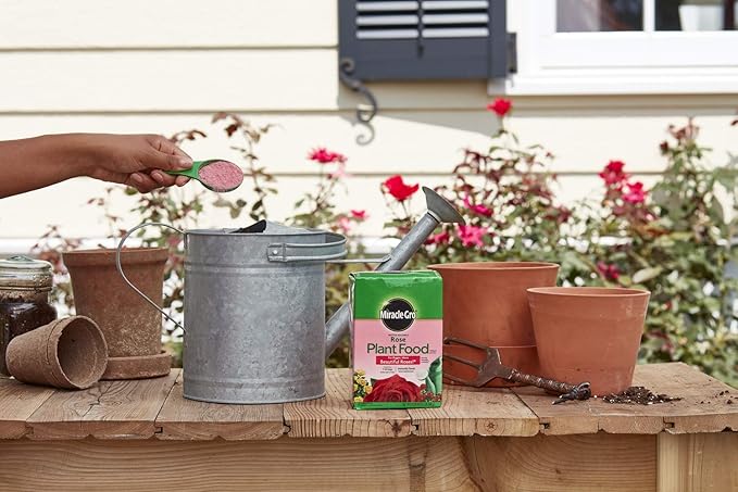 Miracle-Gro Rose Plant Food Rose Fertilizer (6 Pack), 1.5 lb