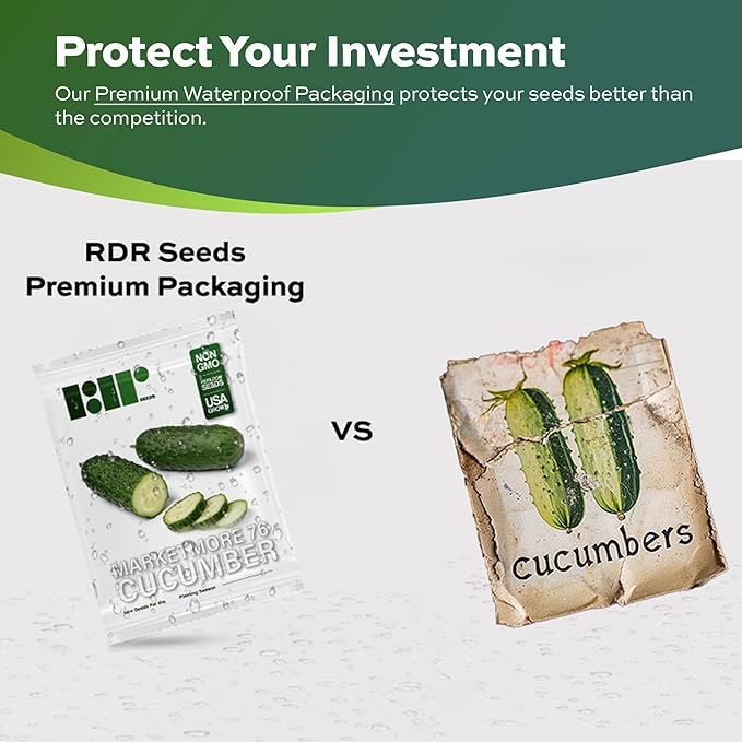 50 Marketmore 76 Cucumber Seeds for Planting - Heirloom, Non-GMO, USA Grown, Cucumis Sativus by RDR Seeds